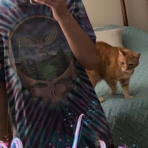 Meet your Posher, Dalton